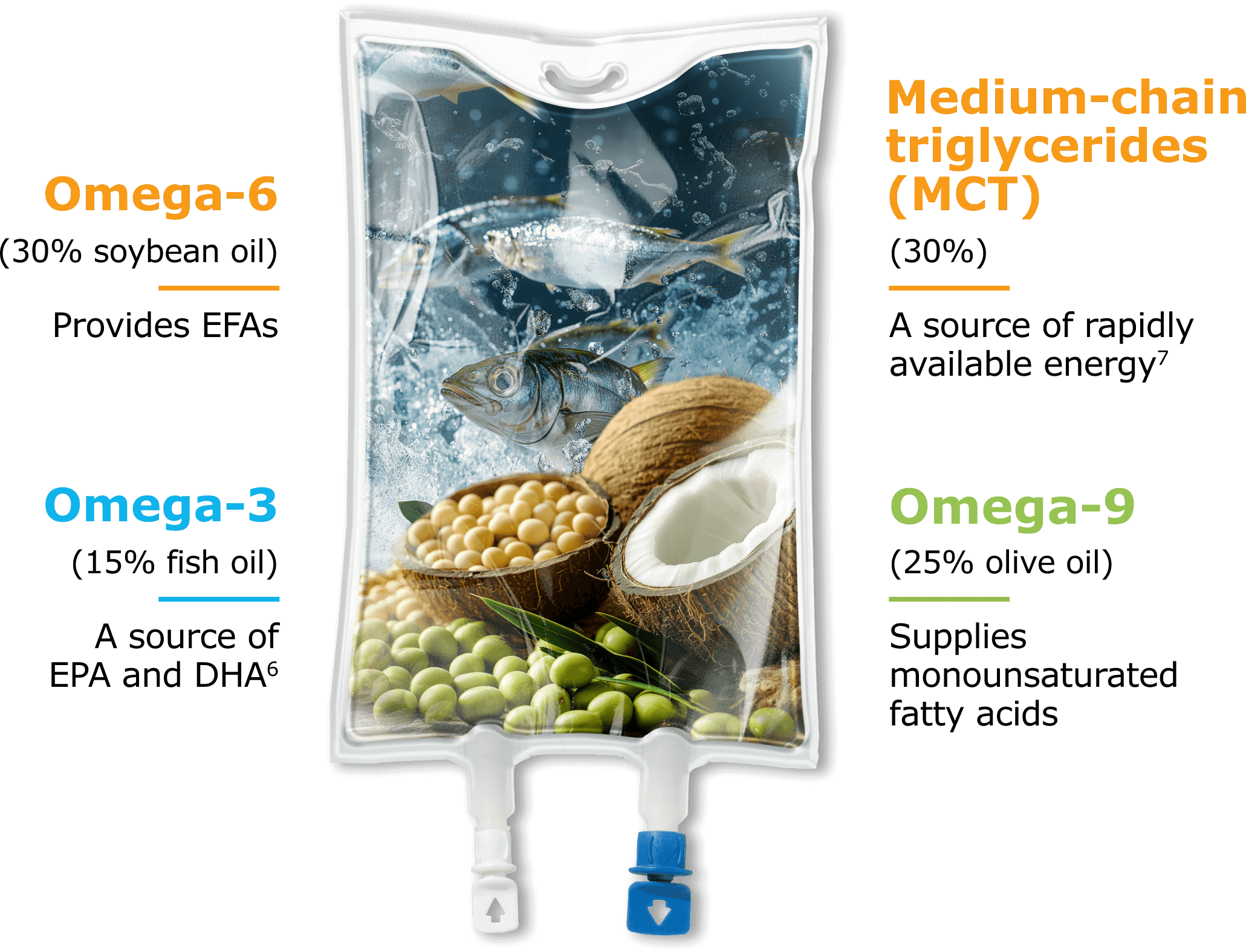 Dropper filled with fish, water, coconuts, soybeans, and olives, surrounded by text explaining their benefits: provides EFAs, can be a source of EPA and DHA, offers rapidly available energy, and supplies monounsaturated fatty acids